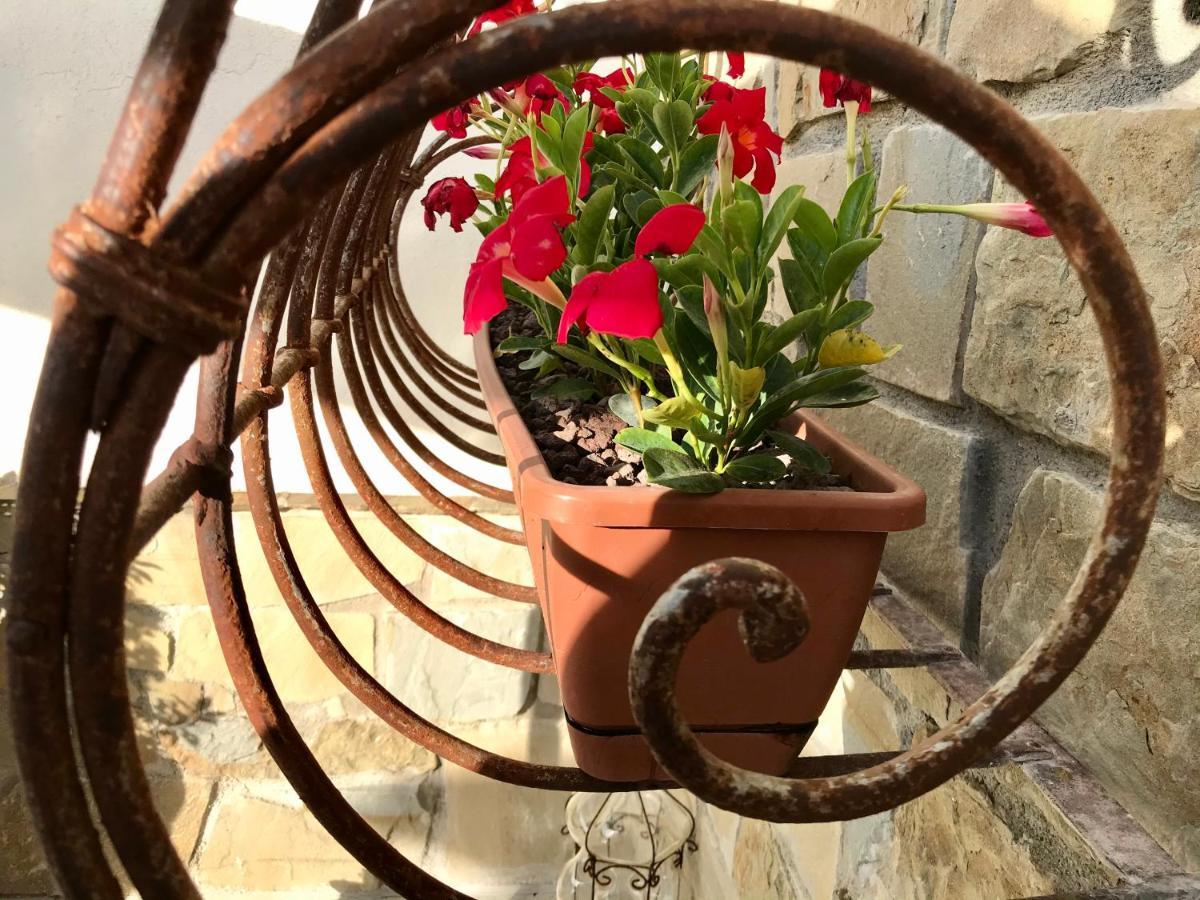 Borgo Manca Suite Sasso di Castalda Exterior foto